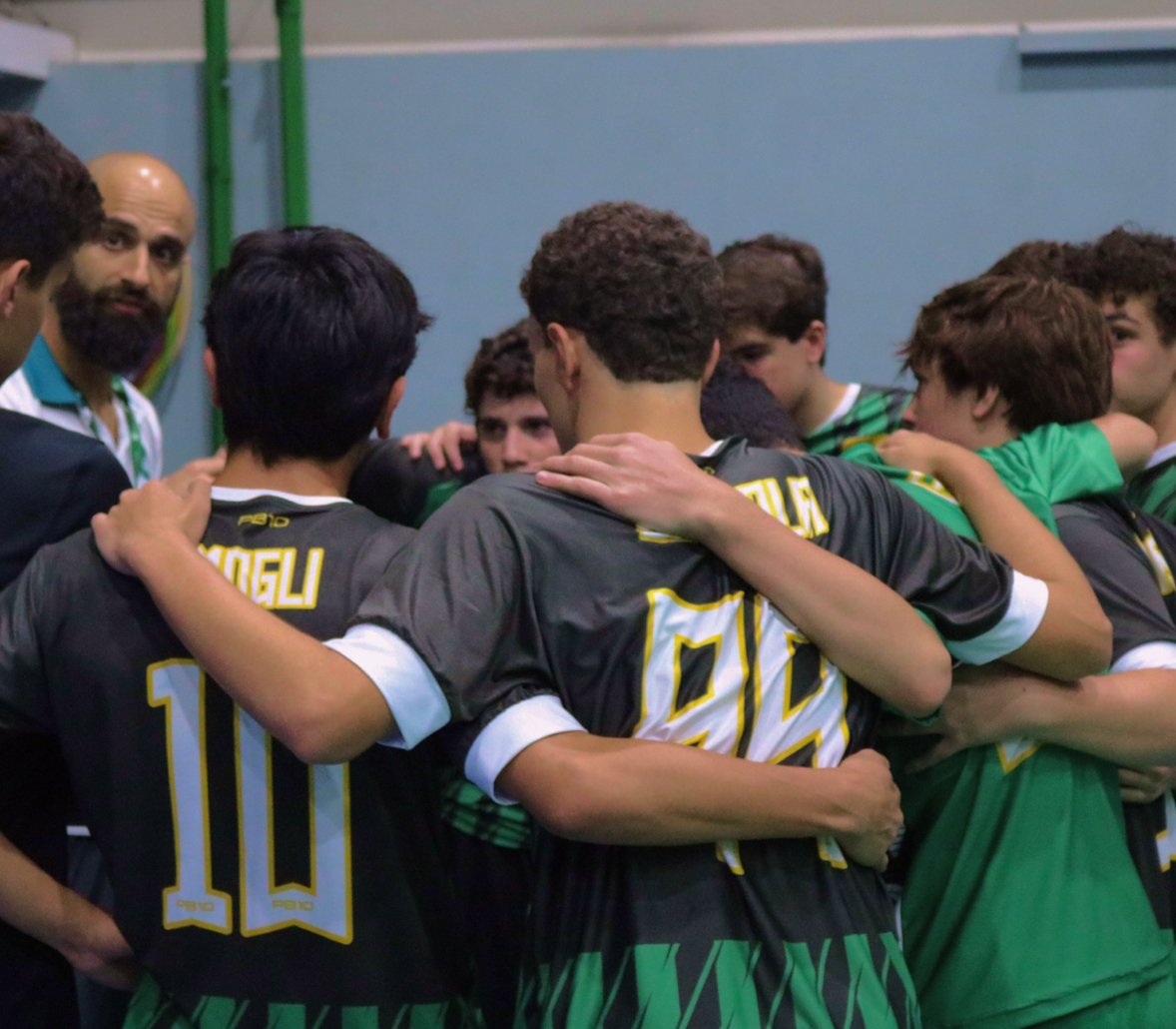 Núcleo de Esportes Palmares